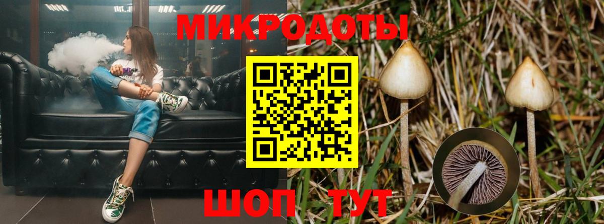 Галлюциногенные грибы прущие грибы  Вход с VPN  Партизанск 